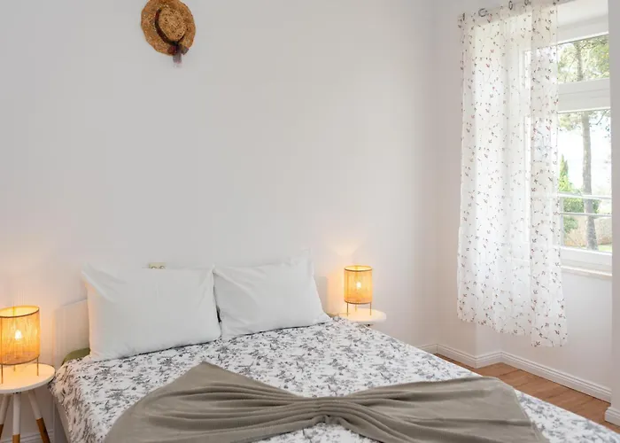 House Pinezic Apartment *