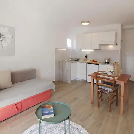 Apartment Seaside Pinezic